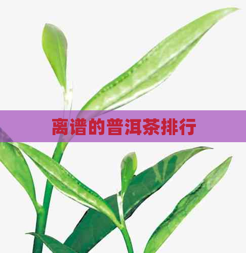 离谱的普洱茶排行