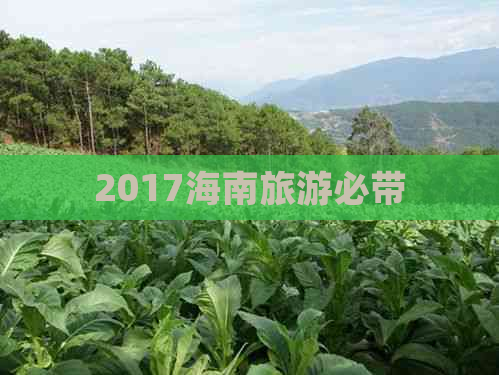 2017海南旅游必带