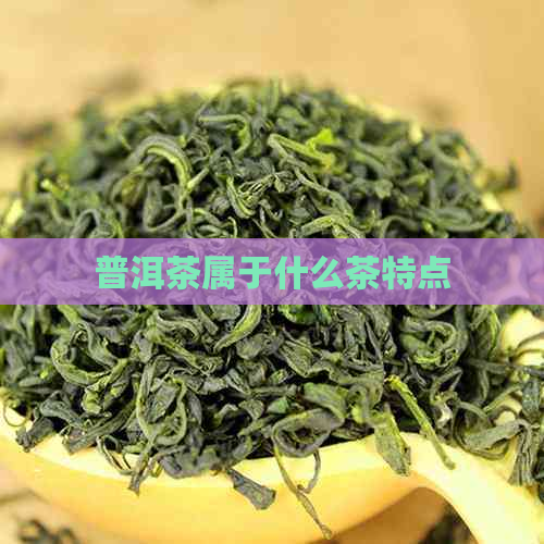 普洱茶属于什么茶特点