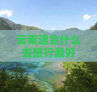 云南适合什么去旅行更好