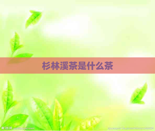 杉林溪茶是什么茶