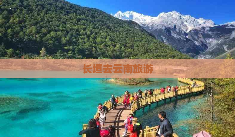 长垣去云南旅游