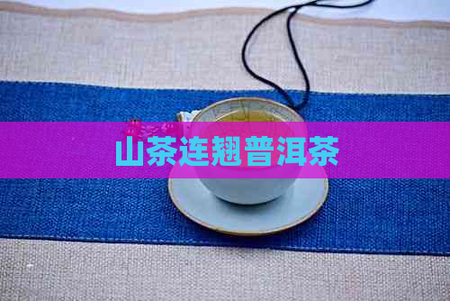 山茶连翘普洱茶