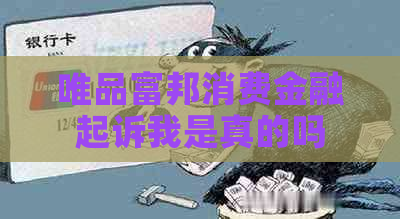 唯品富邦消费金融起诉我是真的吗