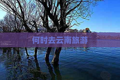 何时去云南旅游