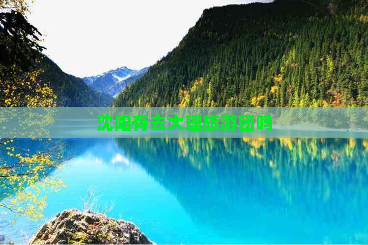 沈阳有去大理旅游团吗