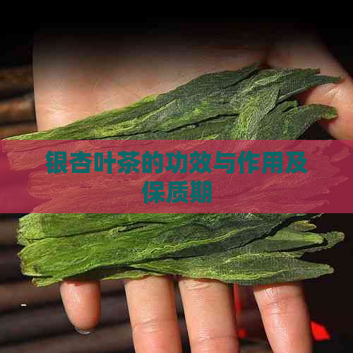 银杏叶茶的功效与作用及保质期