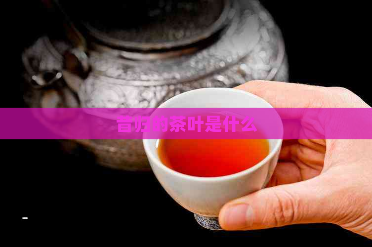 昔归的茶叶是什么