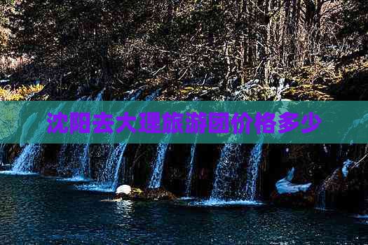 沈阳去大理旅游团价格多少