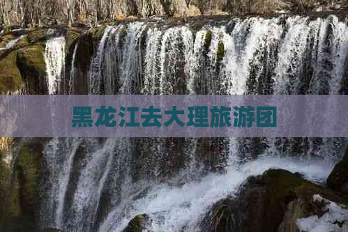 黑龙江去大理旅游团