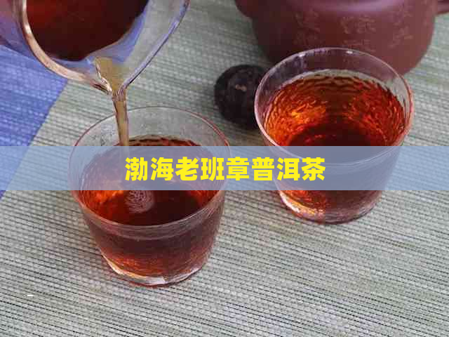 渤海老班章普洱茶