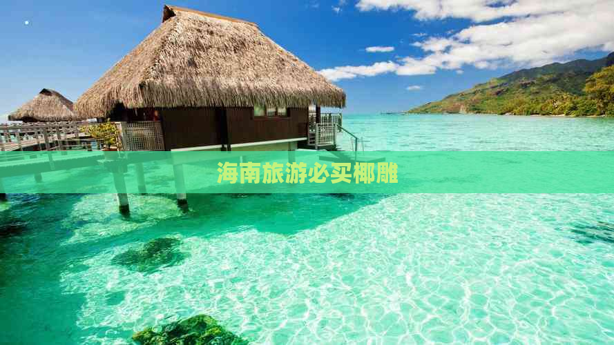 海南旅游必买椰雕