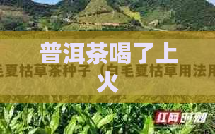 普洱茶喝了上火