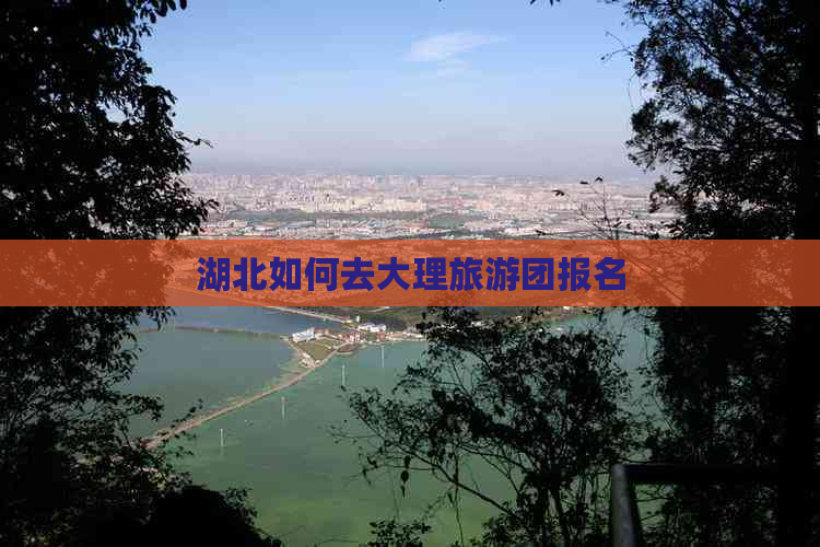 湖北如何去大理旅游团报名