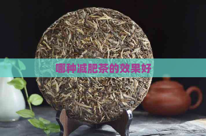 哪种减肥茶的效果好