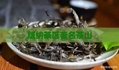 版纳茶区著名茶山