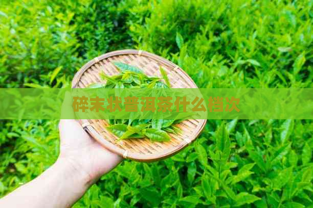 碎末状普洱茶什么档次