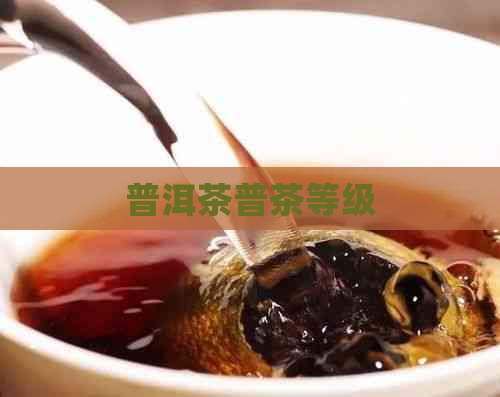 普洱茶普茶等级