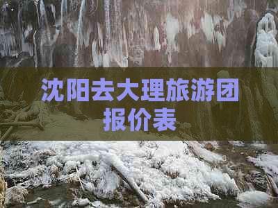 沈阳去大理旅游团报价表