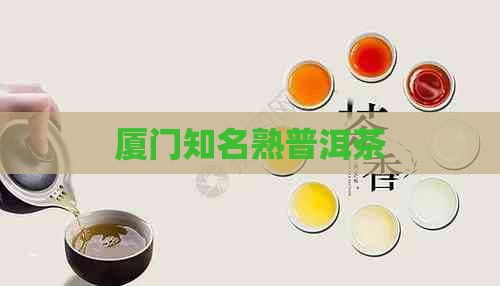 厦门知名熟普洱茶