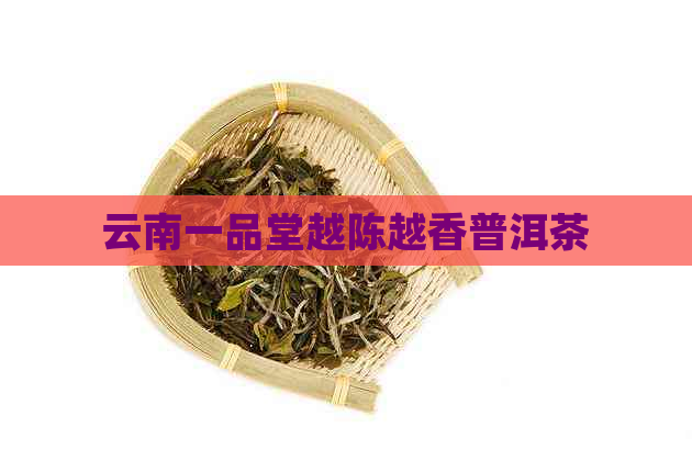 云南一品堂越陈越香普洱茶