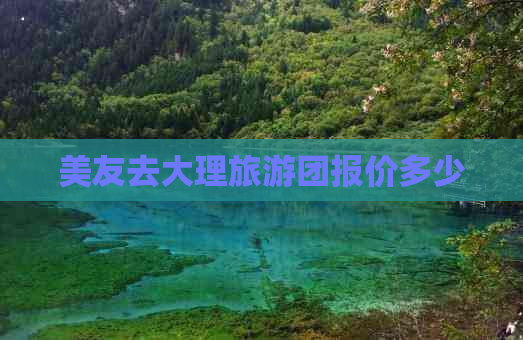 美友去大理旅游团报价多少