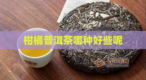 柑橘普洱茶哪种好些呢