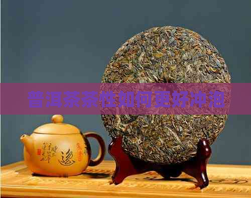 普洱茶茶性如何更好冲泡