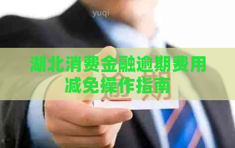 湖北消费金融逾期费用减免操作指南