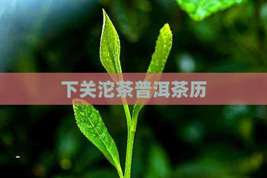 下关沱茶普洱茶历