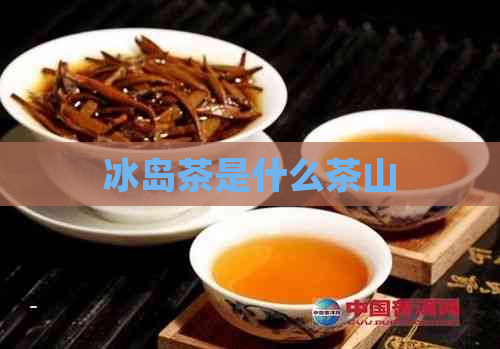 冰岛茶是什么茶山