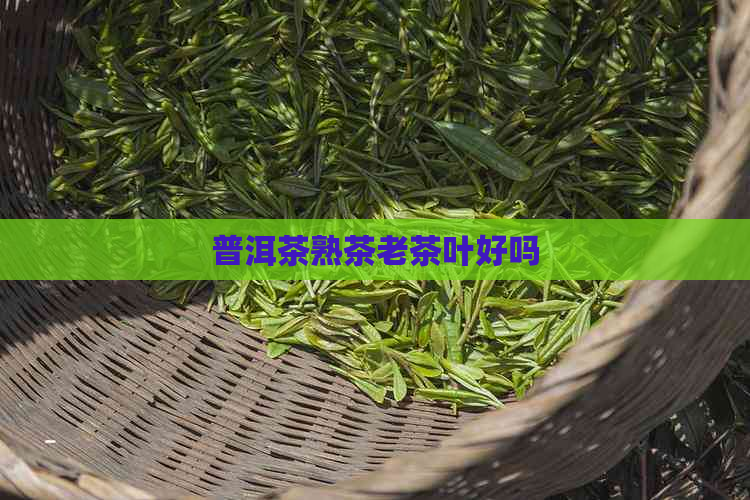 普洱茶熟茶老茶叶好吗