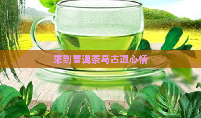 来到普洱茶马古道心情