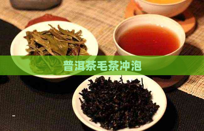 普洱茶毛茶冲泡