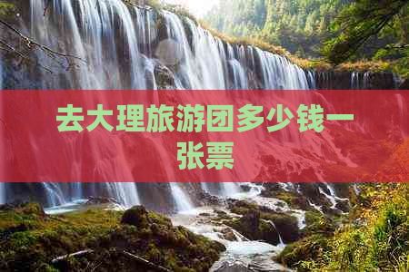 去大理旅游团多少钱一张票