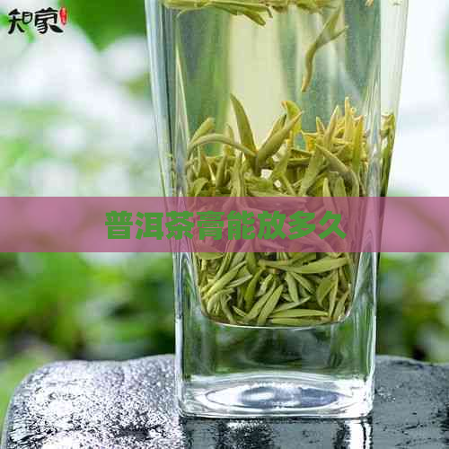 普洱茶膏能放多久