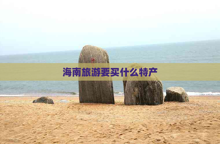 海南旅游要买什么特产