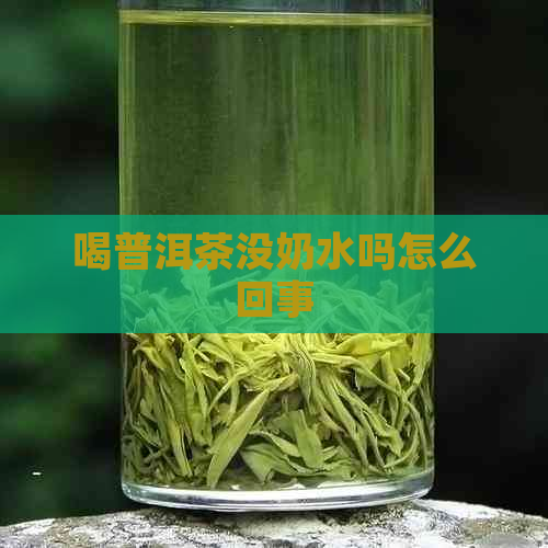 喝普洱茶没奶水吗怎么回事