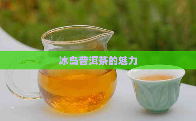 冰岛普洱茶的魅力