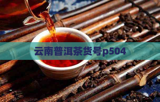 云南普洱茶货号p504