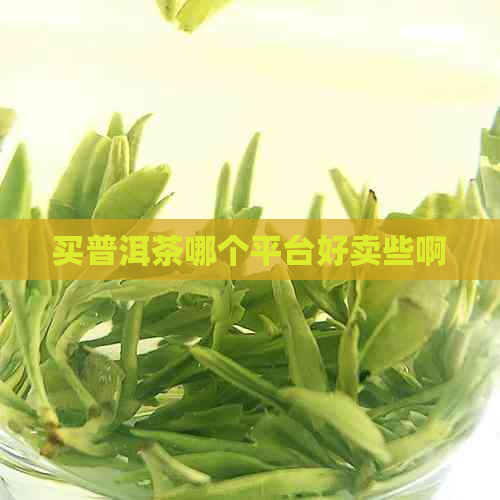 买普洱茶哪个平台好卖些啊