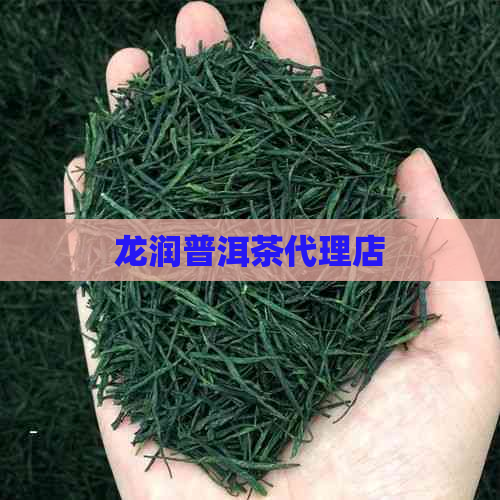 龙润普洱茶代理店