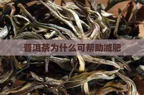 普洱茶为什么可帮助减肥