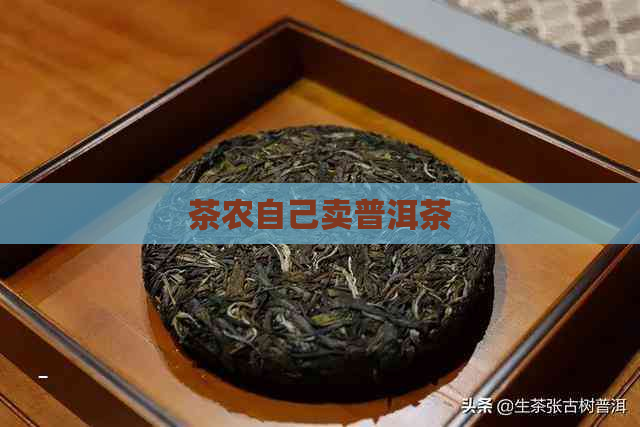 茶农自己卖普洱茶