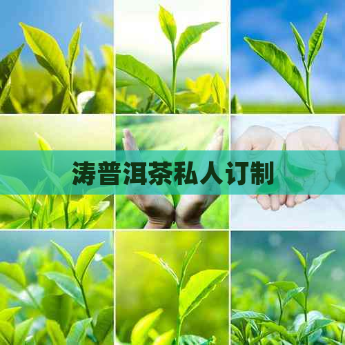 涛普洱茶私人订制