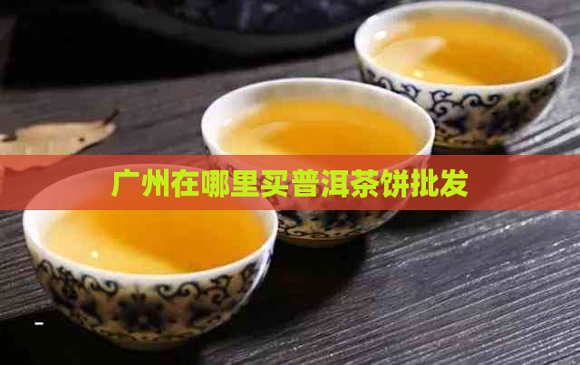 广州在哪里买普洱茶饼批发