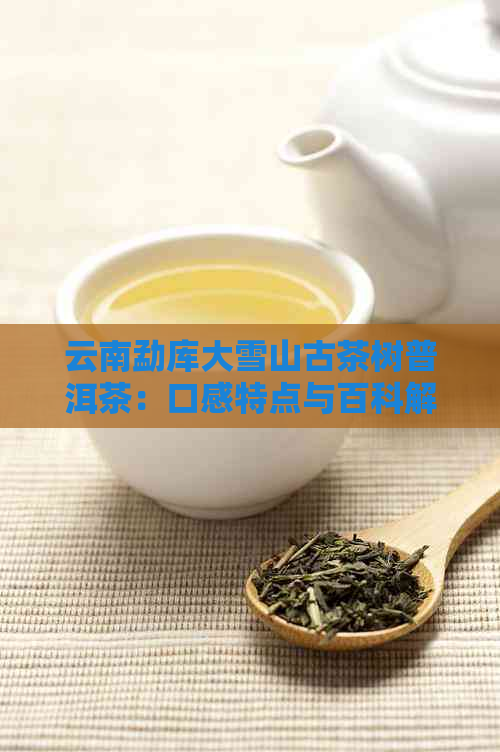 云南勐库大雪山古茶树普洱茶：口感特点与百科解读