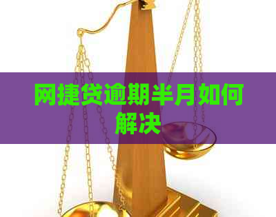 网捷贷逾期半月如何解决