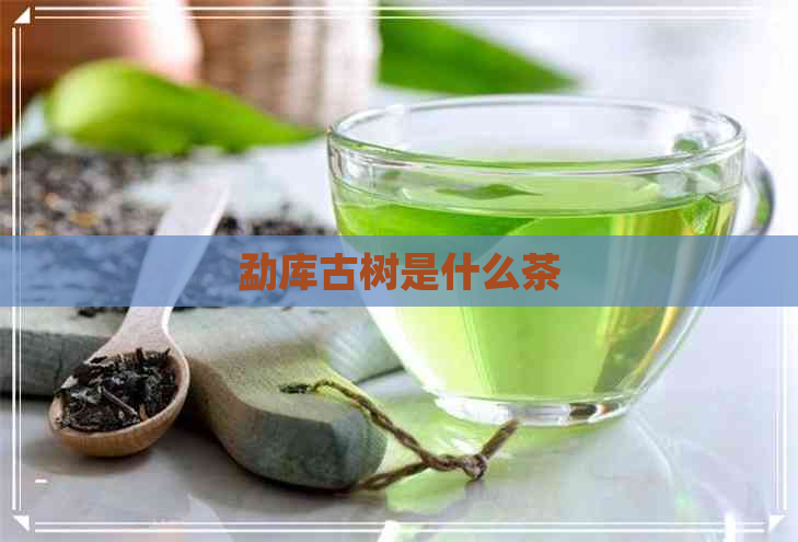 勐库古树是什么茶