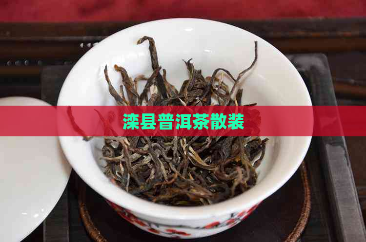 滦县普洱茶散装